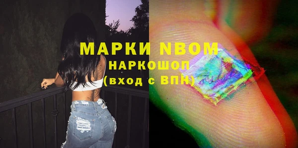 сатива Козловка