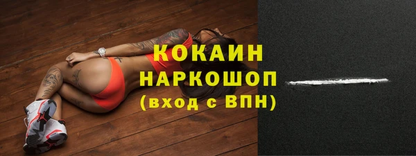 сатива Козловка