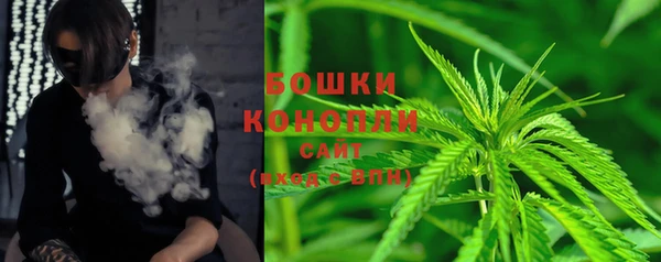 сатива Козловка
