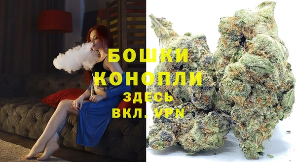 сатива Козловка