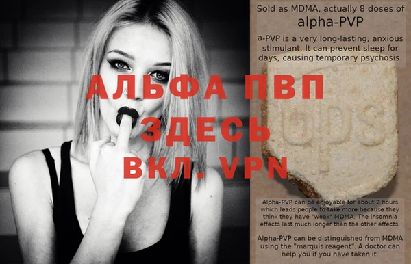 сатива Козловка