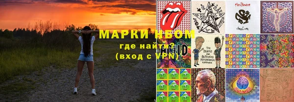 сатива Козловка