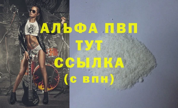 сатива Козловка