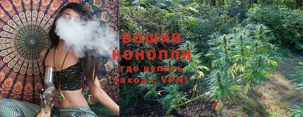 сатива Козловка